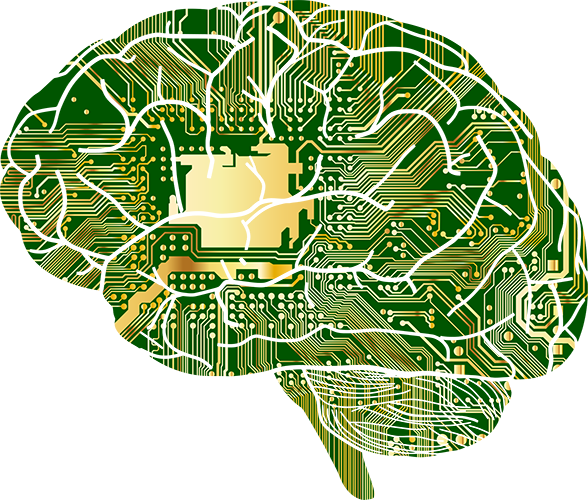 Brain Circuits photo